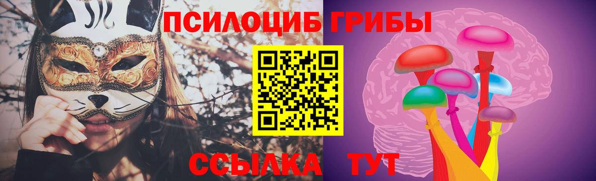Урус-Мартан  Псилоцибиновые грибы Psilocybe  Псилоцибиновые грибы Magic Shrooms  Вход с VPN 